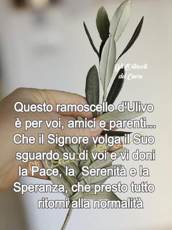 111ed1ba b5f2 4131 bc16 04c74d4ecb72